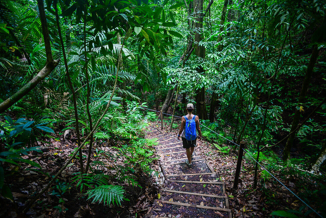 Junge, weiße, abenteuerlustige Frau erkundet den Manuel Antonio Nationalpark in Costa Rica