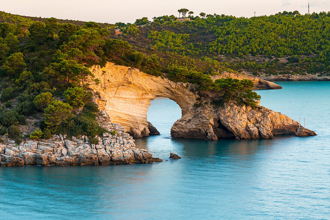 Cala San Felice Bay in Vieste, Gargano, Foggia district, Apulia, Italy