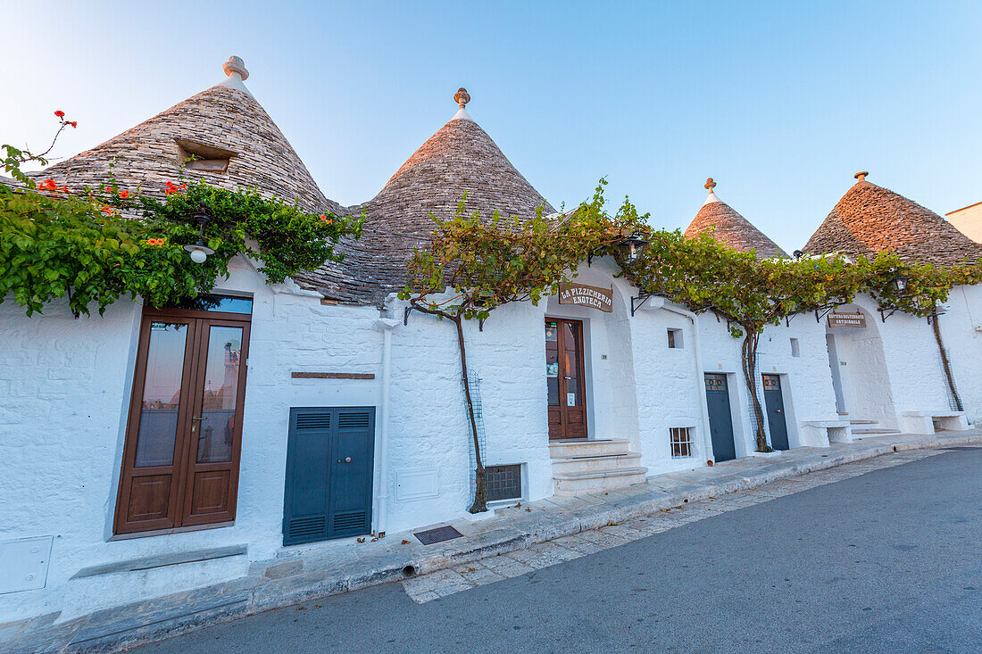 Trulli (typical houses) in Alberobello, Itria Valley, Bari district, Apulia, Italy
