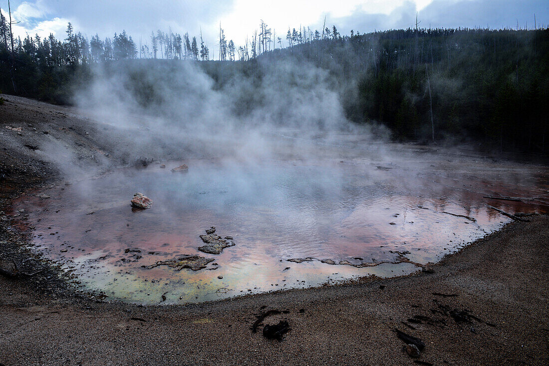 Saurer Echinus-Geysir im Yellowstone-Nationalpark, USA