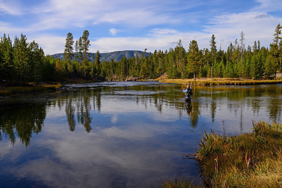 Fly fishing in Yellowstone National Park, United States