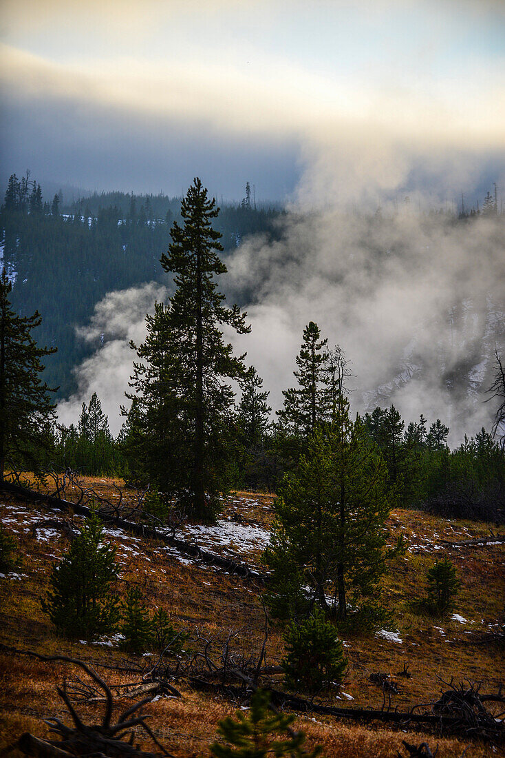 Fumaroles in Yellowstone National Park, USA