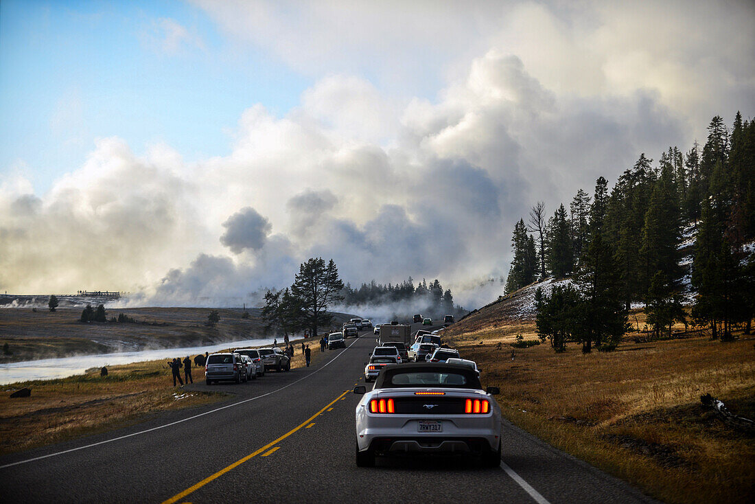 Besucher halten Autos an, um Bisons im Yellowstone-Nationalpark zu beobachten, USA