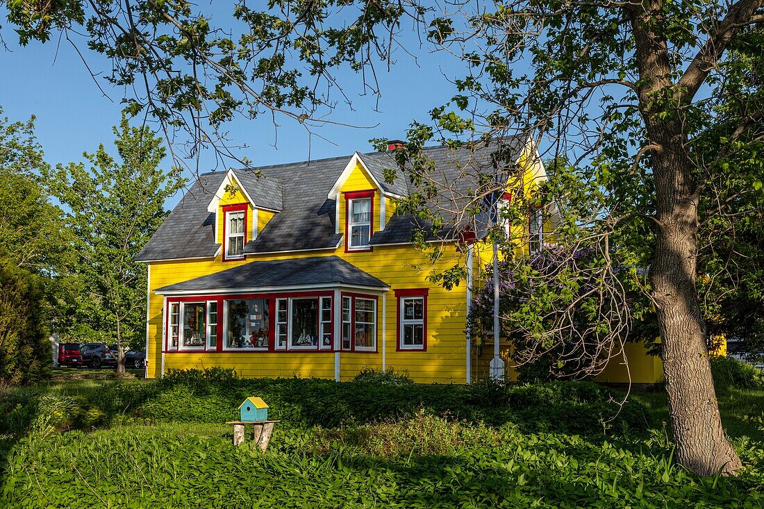 Traditional painted wood house, caraquet, new brunswick, canada, north america