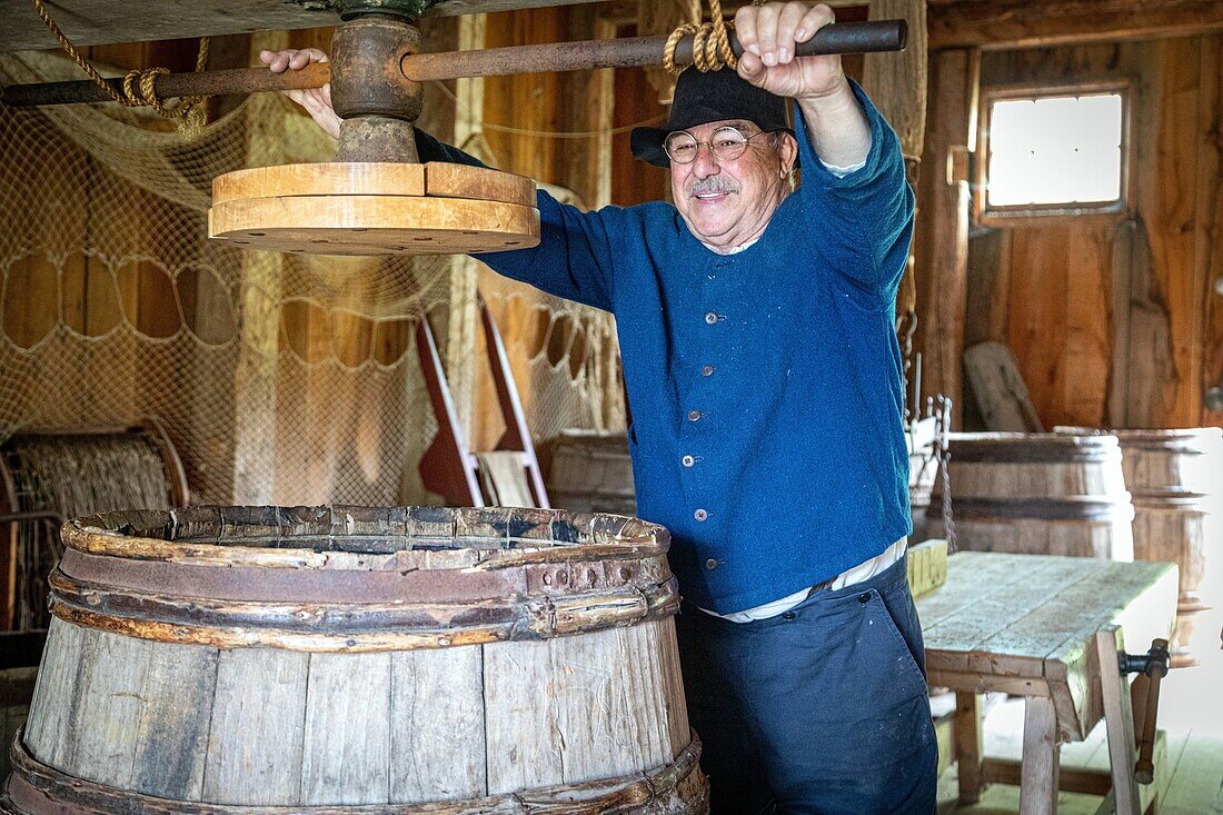 Salting of the cod in the robin warehouse built in 1855, historic acadian village, bertrand, new brunswick, canada, north america