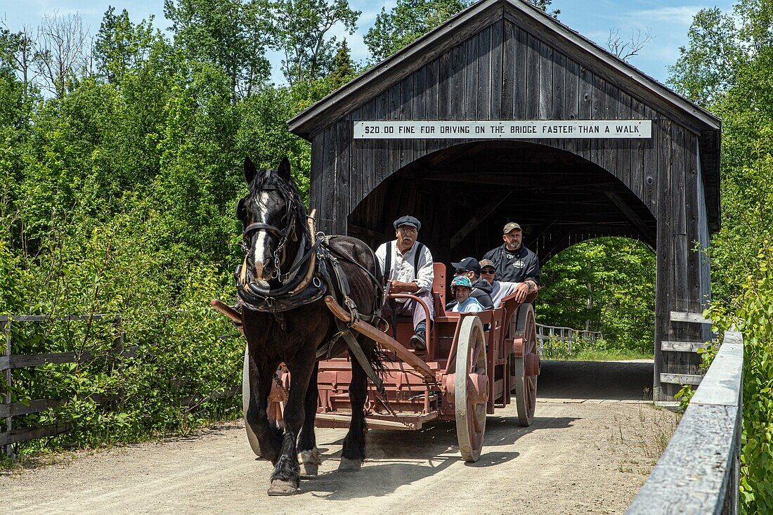 Period cart for taking tourists through the covered wooden built in 1900, historic acadian village, bertrand, new brunswick, canada, north america