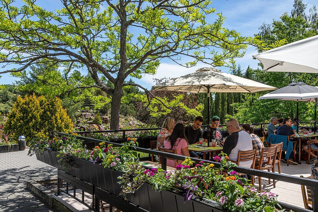 Terrace at the cafe flora pour trying the organic vegetables from the botanical garden, edmundston, new brunswick, canada, north america