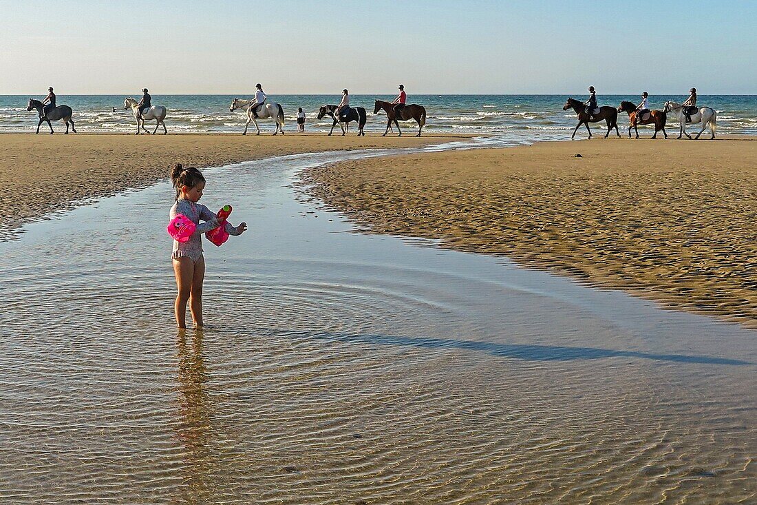 Horseback riding on the beach of cabourg, cote fleurie, calvados, normandy, france
