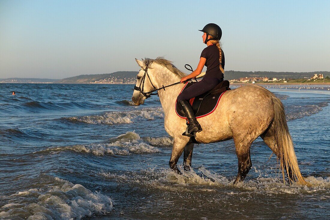 Training of racehorses on the beach of cabourg, cote fleurie, calvados, normandy, france