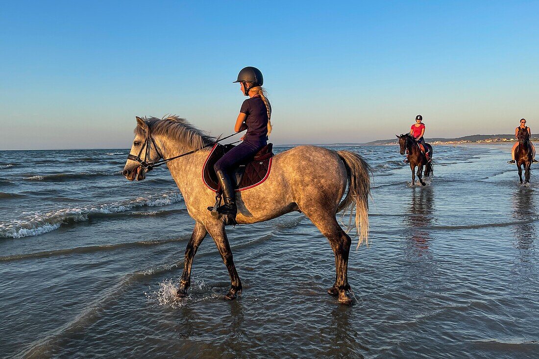 Training of racehorses on the beach of cabourg, cote fleurie, calvados, normandy, france