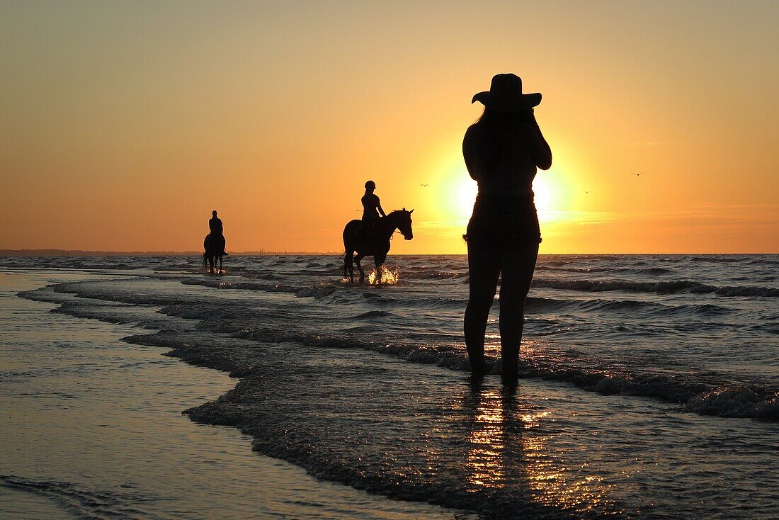 Ausbildung von Rennpferden am Strand von Cabourg, Côte Fleurie, Calvados, Normandie, Frankreich