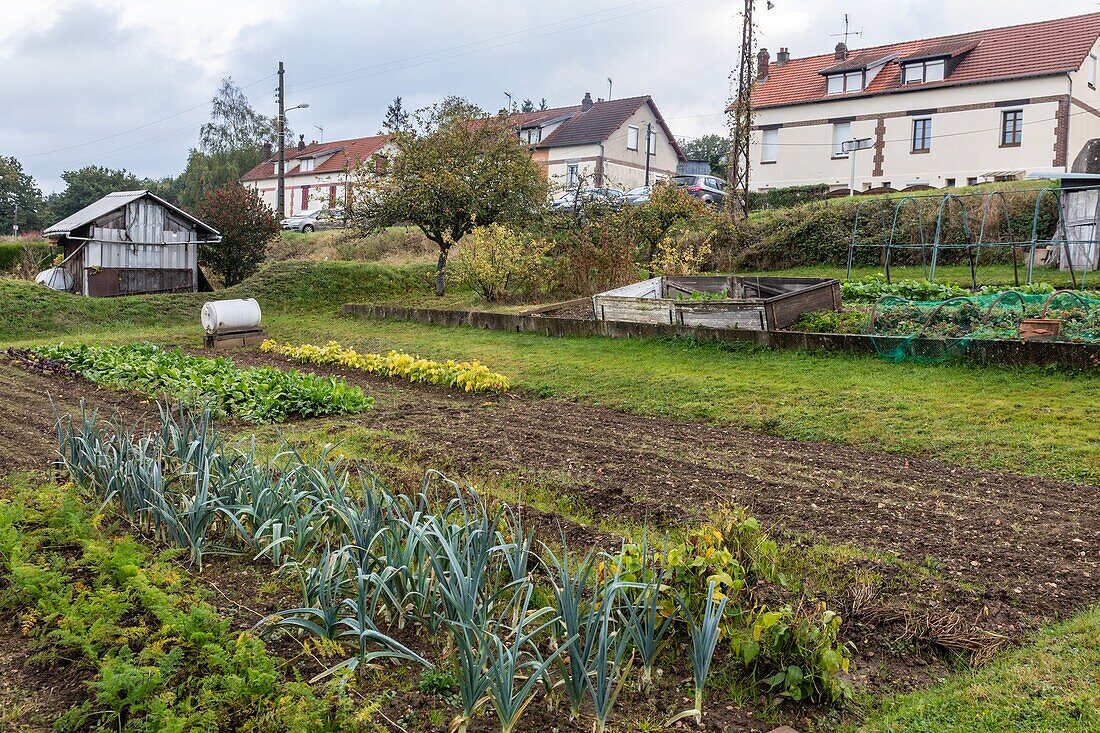 Allotment garden in the company town of moulin a papier (paper mill), rugles, eure, normandy, france