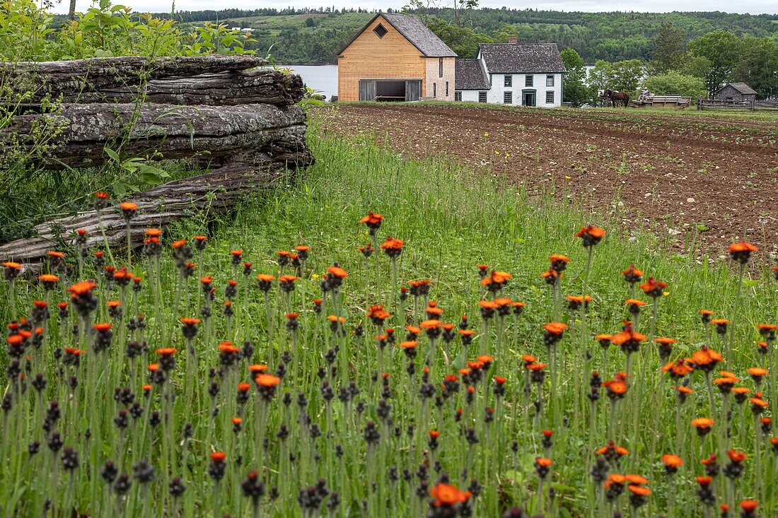 Joslin farm, kings landing, historic anglophone village, prince william parish, fredericton, new brunswick, canada, north america