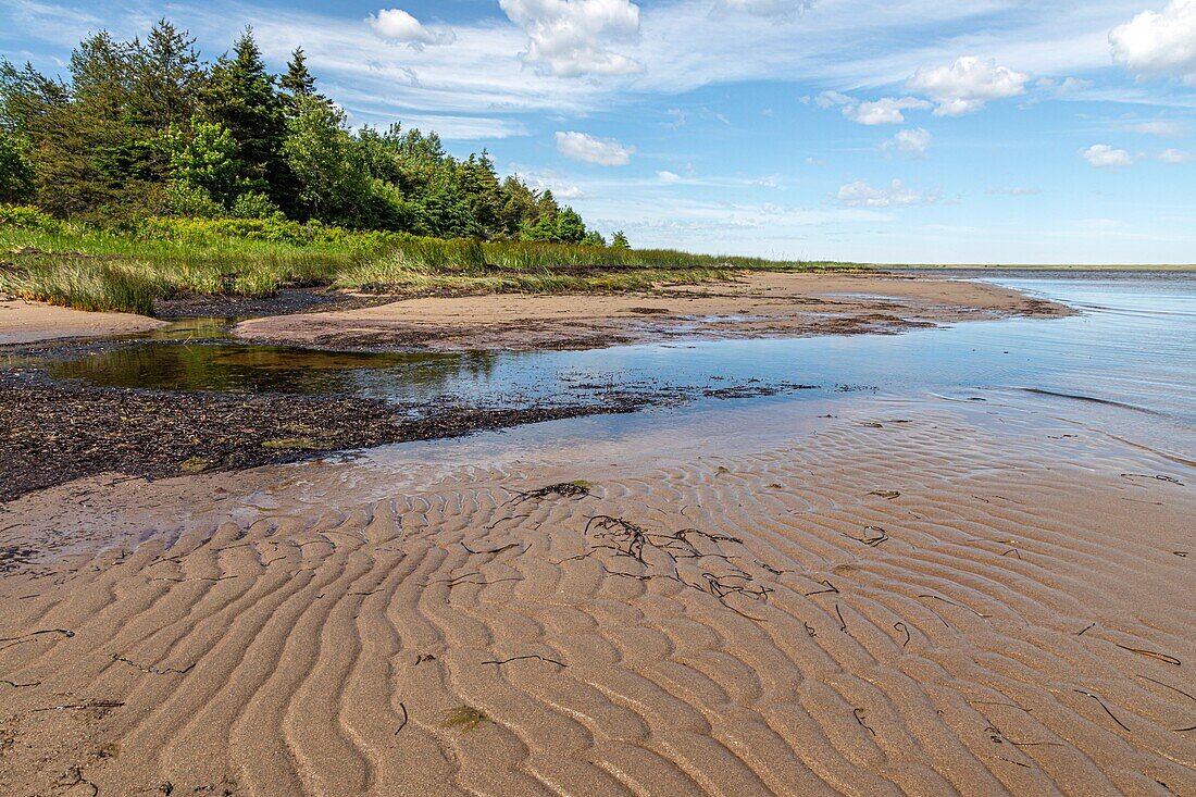 Shore of the bay in kouchibouguac national park, new brunswick, canada, north america