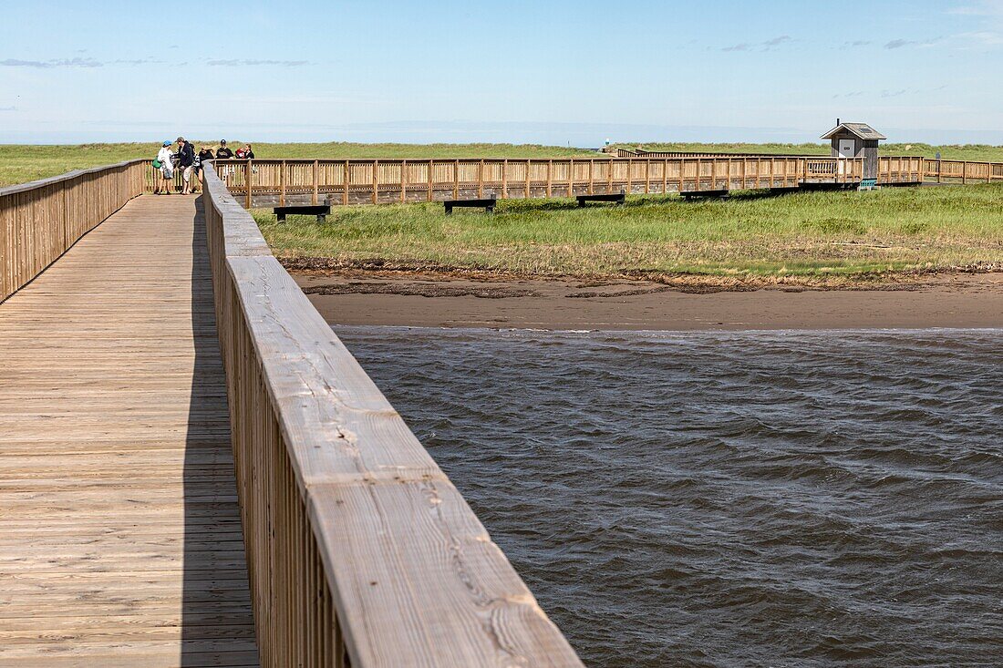 Hölzerner Steg, der über die Salzwiesen zum Strand führt, kouchibouguac national park, new brunswick, kanada, nordamerika