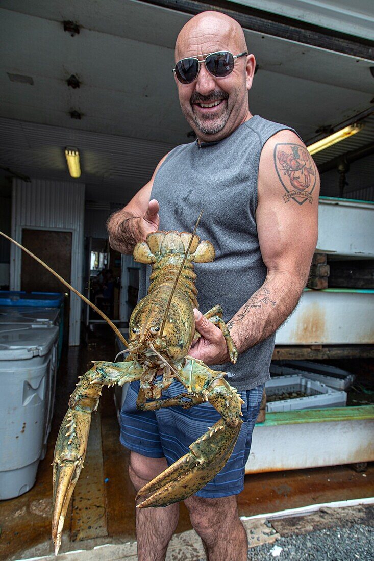 Steve bezeau with a big lobster, la terrasse de steve, new brunswick, canada, north america