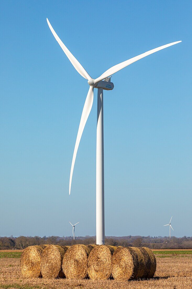 Wind turbines in the countryside of the department of the eure, energy autonomy, normandy, france