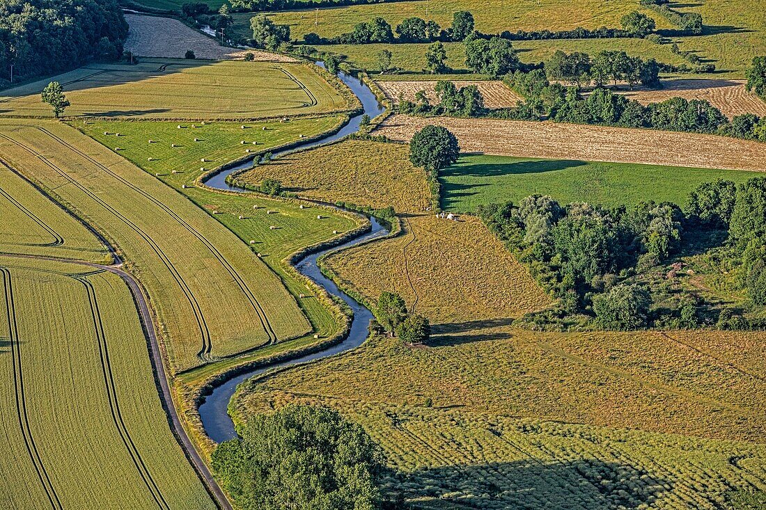 Feldfrüchte und Prärie im Risle-Tal, la vieille-lyre, eure, normandie, frankreich