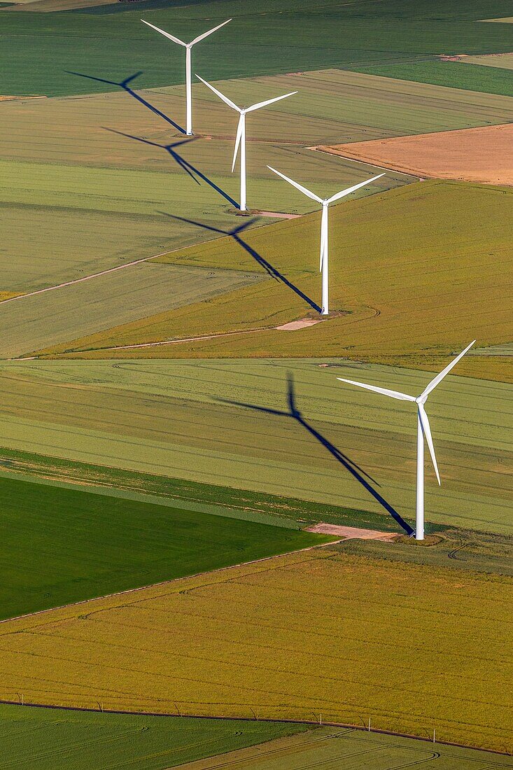Wind turbines in the middle of the fields of grain, eure, normandy, france
