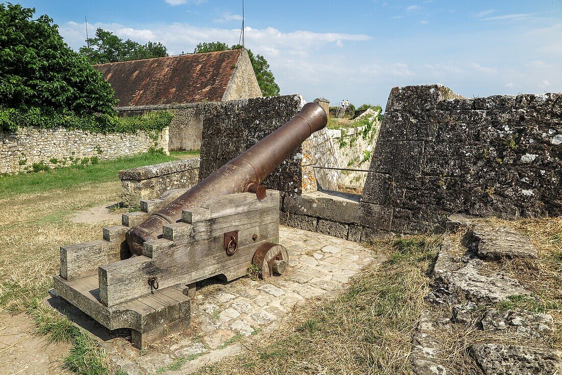 Defense cannon, citadel of blaye, fortifications built by vauban, gironde, france