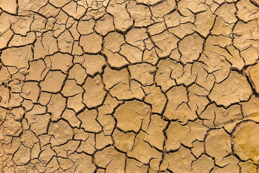 Illustration einer Dürre, rissige Erde, wenn das Wasser aufgrund fehlender Niederschläge austrocknet, blaye, gironde, frankreich