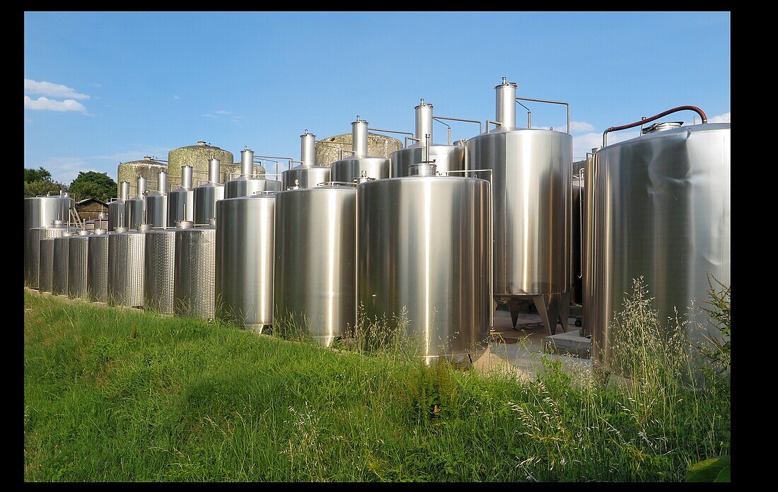 Weinbottiche aus rostfreiem Stahl, vini services company, Hafen von Blaye, Gironde, Frankreich