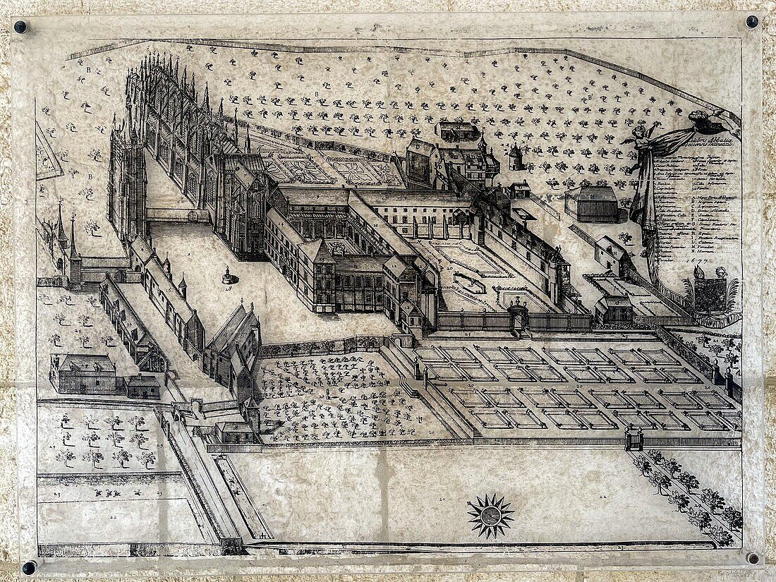 Drawing representing the abbey of le bec, monasticon gallicanum dating from 1677, le bec-hellouin, eure, normandy, france