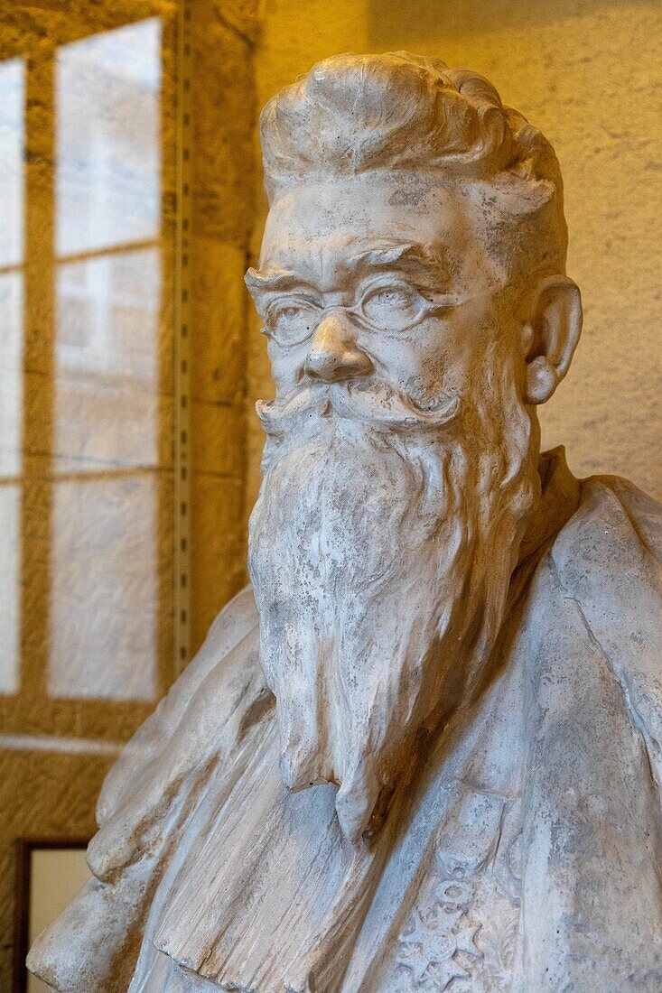 Patinated plaster bust of joseph grasset (1849-1918), professor of medecine, former faculty of medecine, montpellier, herault, occitanie, france