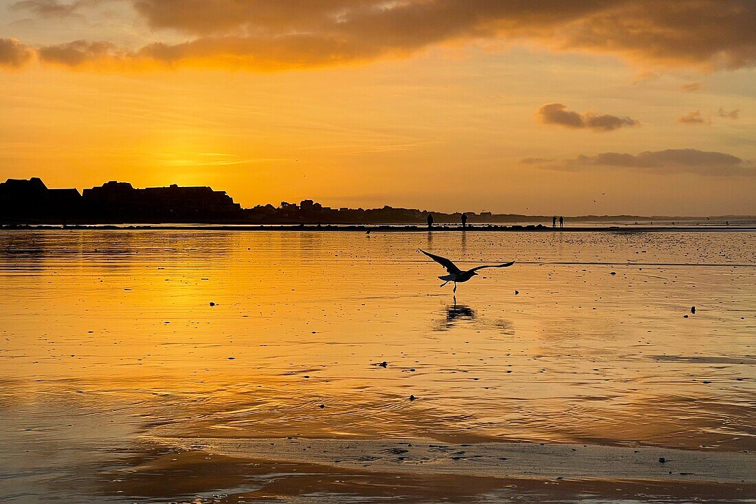 Sonnenuntergang über dem Strand von Cabourg, Calvados, Normandie, Frankreich