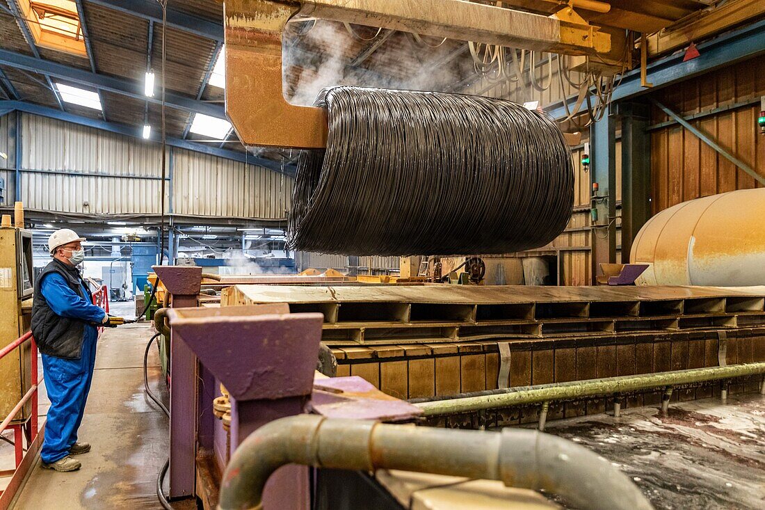 Behandlung der Stahlspulen in Säurebädern, um sie zu reinigen, Herstellung von Stahldrahtspulen zur Verwendung in der Industrie, sntn - societe nouvelle de trefilerie normande (norman wire works corporation), neaufles-auvergny, eure, normandie, frankreich