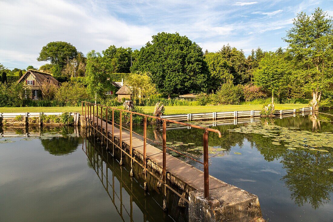 Wooden bridge over the river, trisay, la vieille-lyre, valley of the risle, eure, normandy, france