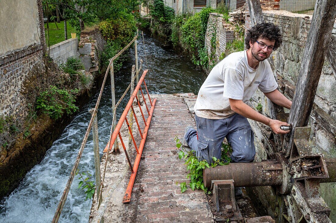 Maintenance of a waterwheel, valley of the risle, eure, normandy, france