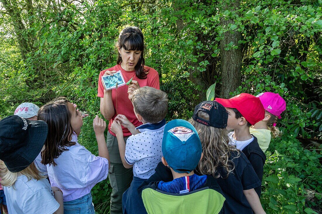 Monitor, nature and discovery of the flora and fauna around the river, pupils and teacher from the kindergarten of bourth, iton river valley, iton river valley, eure, normandy, france