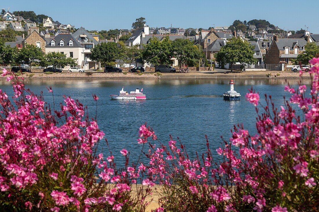 Miniaturhafen, Freizeitbeschäftigung im Stadtzentrum mit kleinen Elektrobooten, cotes-d'amor, bretagne, frankreich