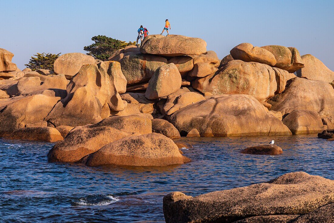 Family of tourists on the pink granite boulders, renote island point, tregastel, pink granite coast, cotes-d’armor, brittany, france