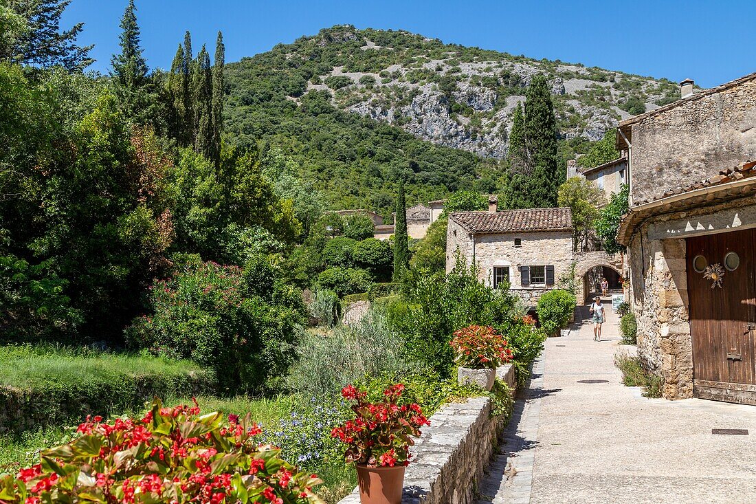 Small lane in the village, classed as one of the most beautiful villages of france, saint-guilhem-le-desert, herault, occitanie, france