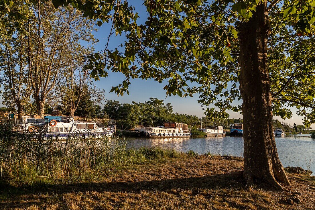 River-faring boat, river-faring boat, the port of homps on the midi canal, aude, occitanie, france