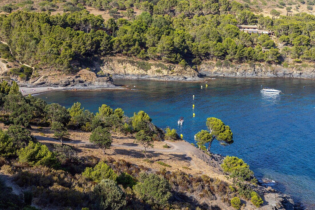 Boot und Badegäste, Strand Pelosa, Cala Calitjas, Rosas, Costa Brava, Katalonien, Spanien