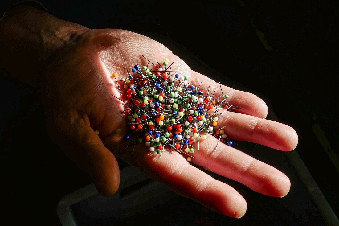 Manual sorting of pins with murano glass pinheads, factory of the manufacture bohin, living conservatory of the needle and pin, saint-sulpice-sur-risle, orne (61), france