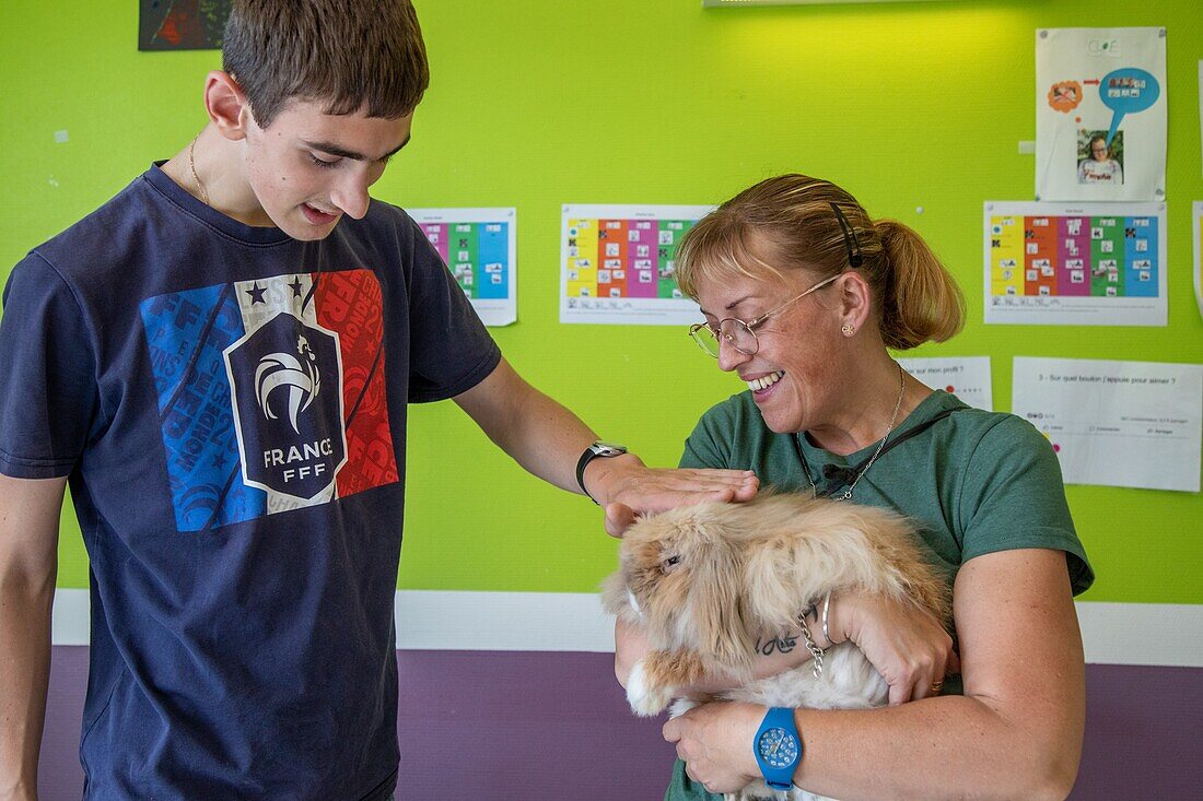 Pet care workshop with the residents, sessad la rencontre, day care, support and service organization for people with disabilities, le neubourg, eure, normandy, france