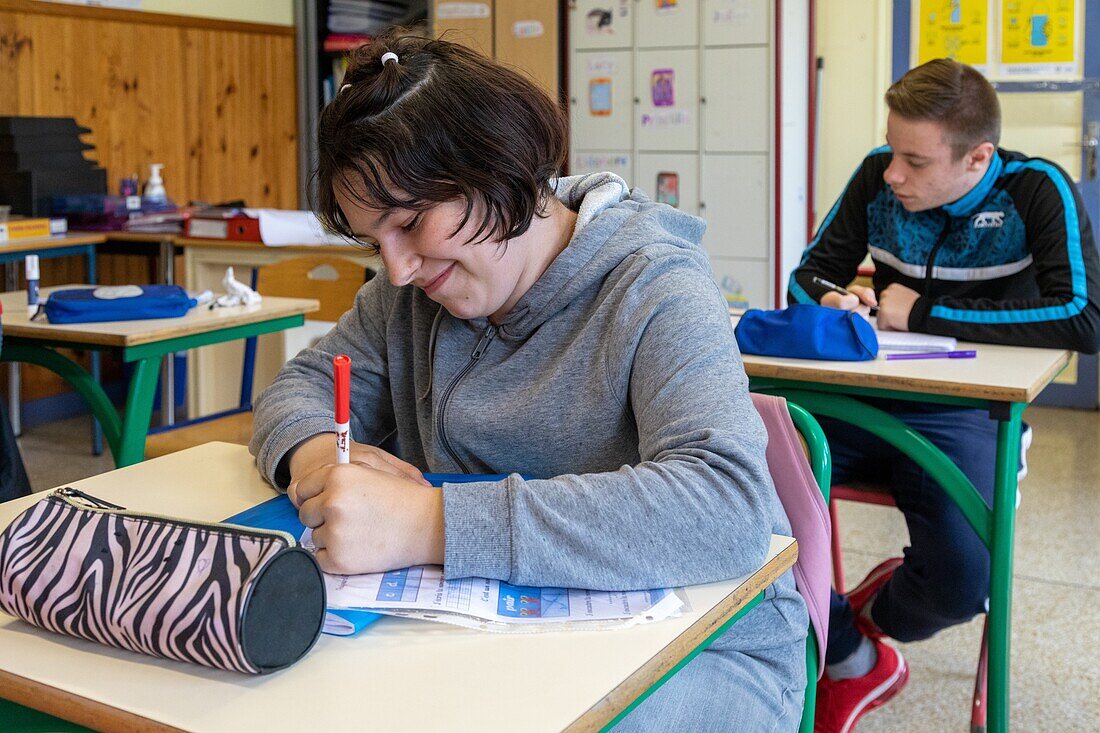 Schüler der Junior High School, angepasstes Klassenzimmer, ime la riviere für Kinder, Jugendliche und junge Erwachsene, nassandres-sur-risle, eure, eure, normandie, frankreich