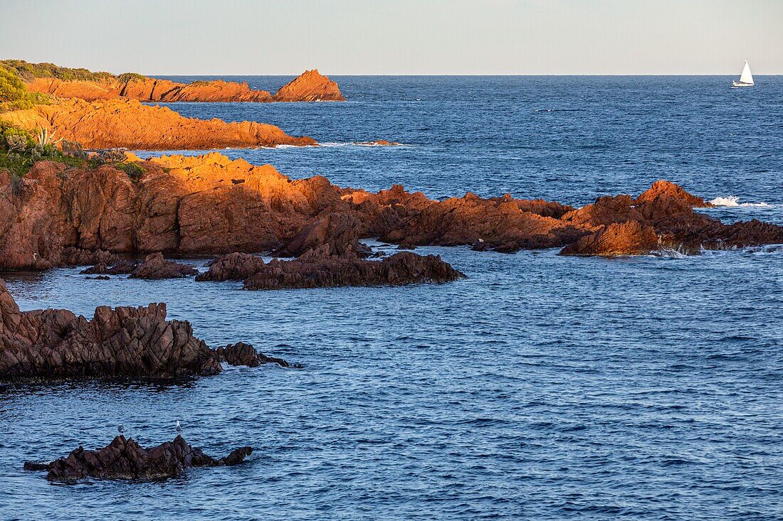 Die roten Felsen des L'esterel-Massivs, Saint-Raphaël, Var, Frankreich