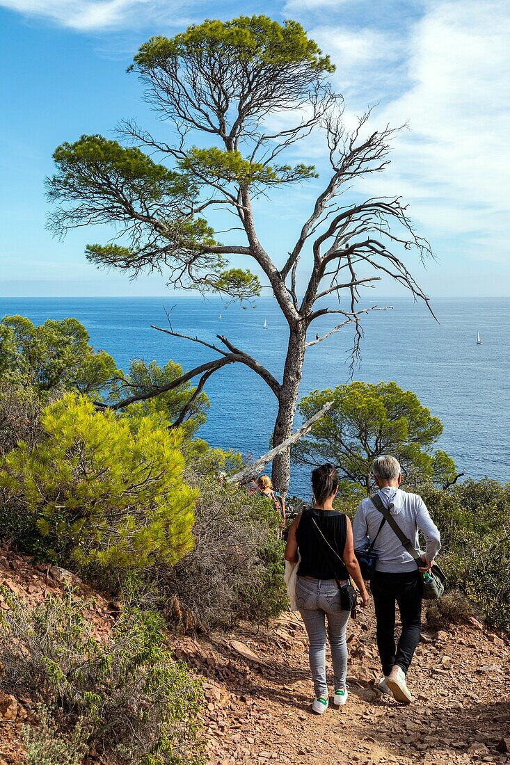 The coast path of cape dramont, saint-raphael, var, france