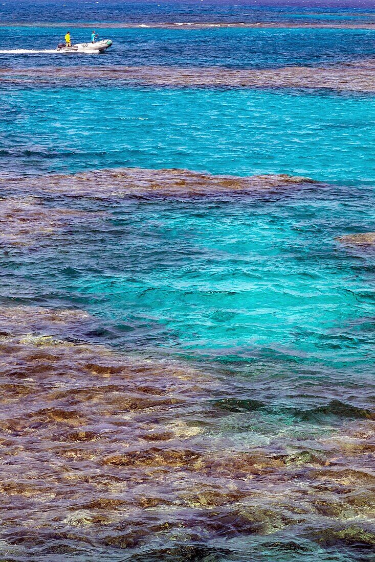 Diving in the coral reefs of the red sea, hurghada, egypt, africa