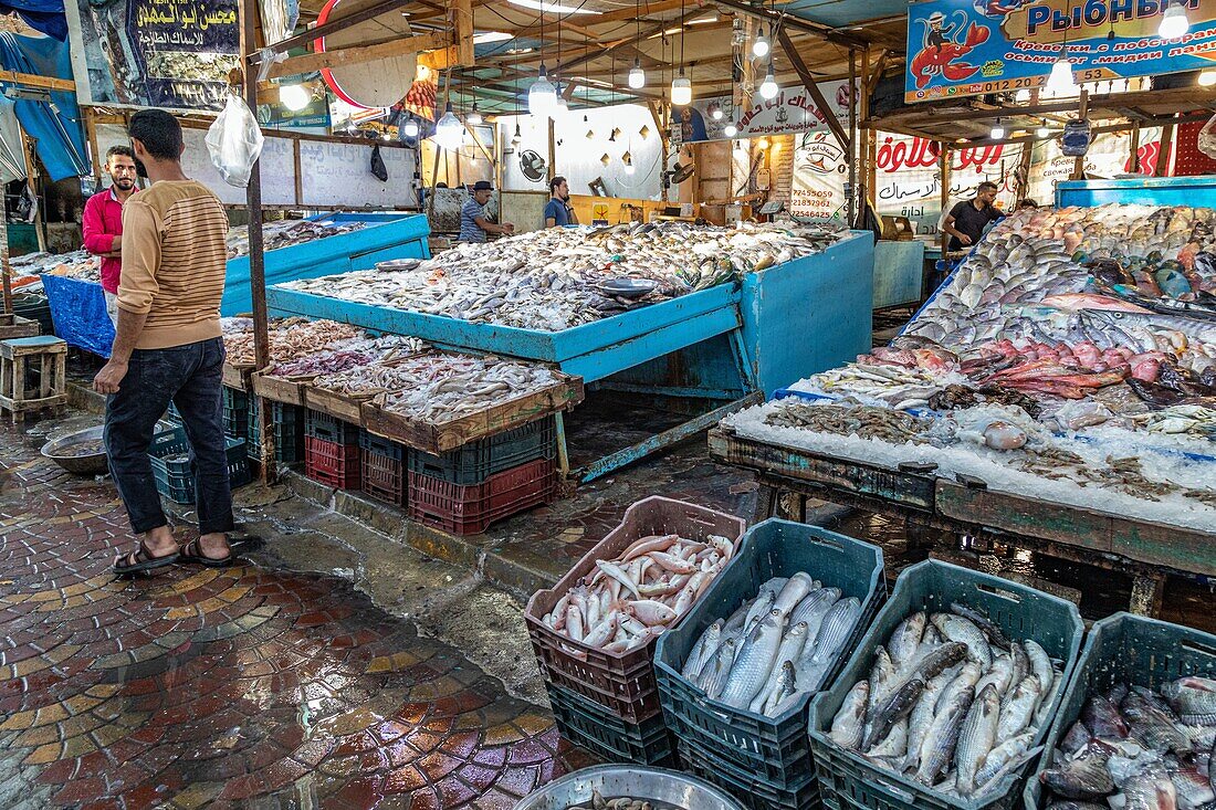 The stands of colorful fish in the fish market on the marina, hurghada, egypt, africa