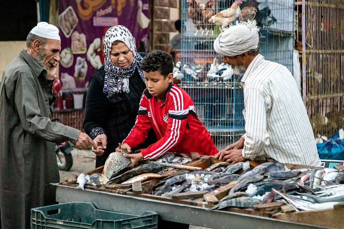 Kunden mit der Familie am Stand des Fischhändlers auf der Straße, el dahar market, beliebtes Viertel in der Altstadt, hurghada, ägypten, afrika