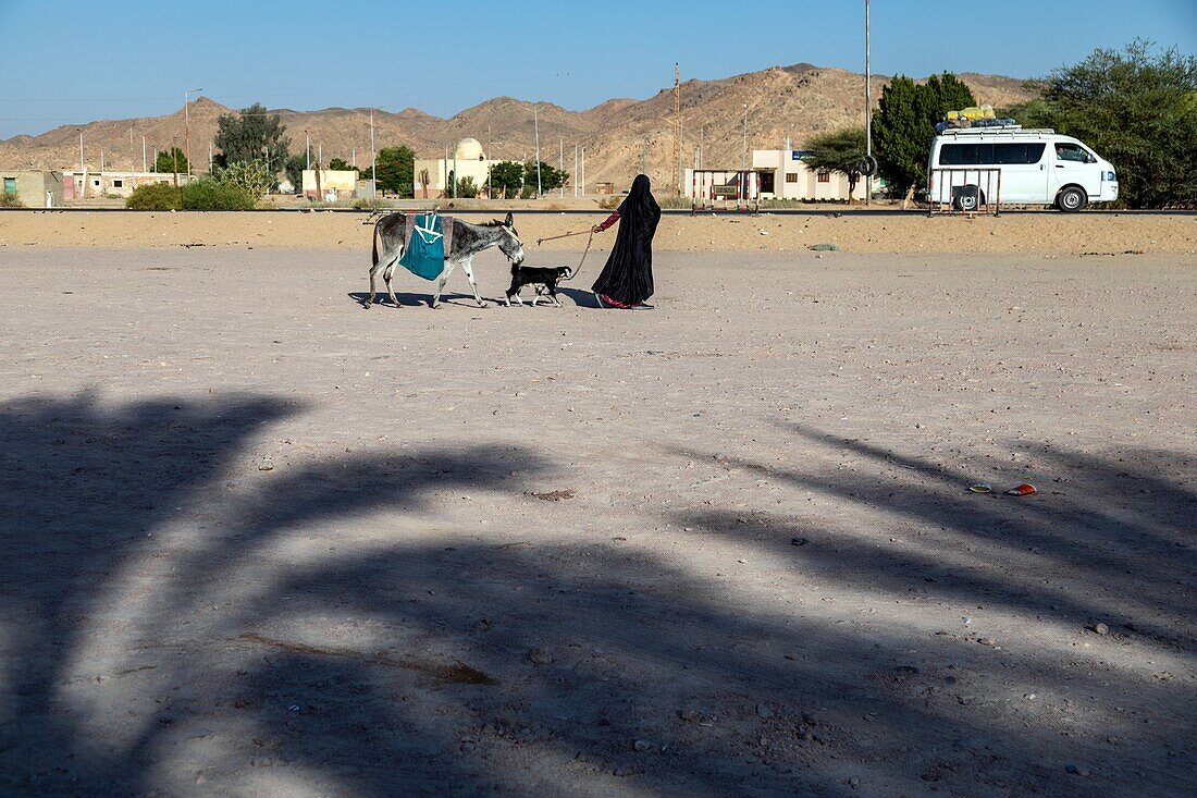 Verschleierte Frau mit ihrem Esel und ihrer Ziege vor einem Café dans le desert, Qena, Ägypten, Afrika