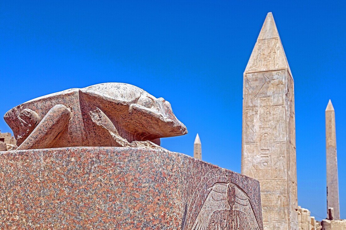 Statue of the giant scarab beetle of khepri in front of the obelisks, precinct of amun-re, temple of karnak, ancient egyptian site from the 13th dynasty, unesco world heritage site, luxor, egypt, africa