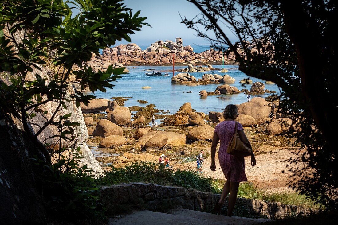 Chemin des douaniers coastal path, access to the beach of ploumanac'h, cote de granit rose (pink granite coast), cotes-d'amor, brittany, france