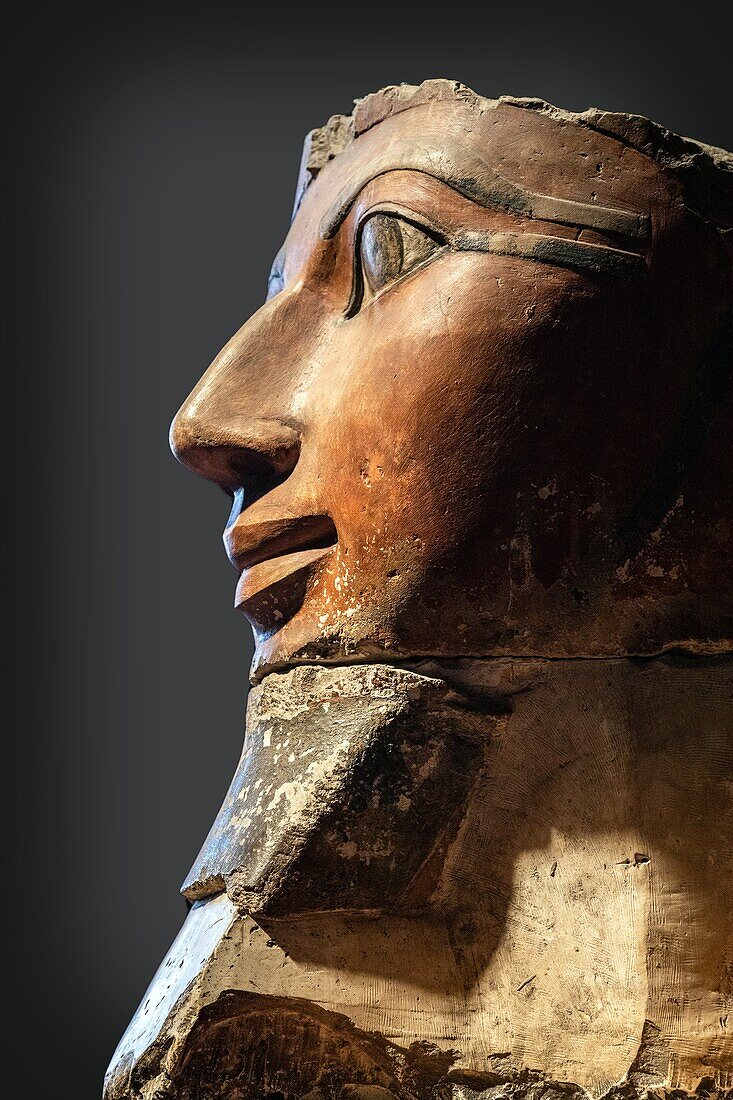 Bemalte Kalksteinskulptur des Kopfes der Königin Hatschepsut aus der 18. Dynastie, Ägyptisches Museum von Kairo, das dem ägyptischen Altertum gewidmet ist, Kairo, Ägypten, Afrika
